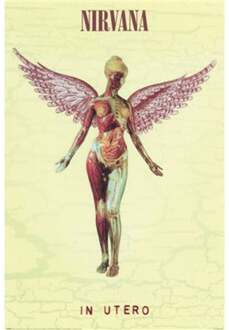 Pyramid Poster Nirvana - In Utero 61x91,5cm Divers - 61x91.5 cm