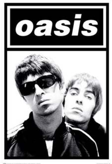 Pyramid Poster Oasis - Gallagher -s 61x91,5cm Divers - 61x91.5 cm
