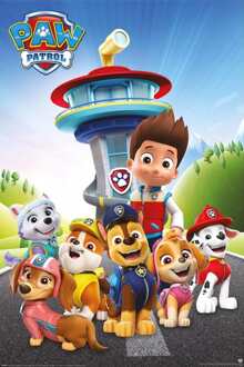 Pyramid Poster Paw Patrol Ready for Action 61x91,5cm Divers - 61x91.5 cm