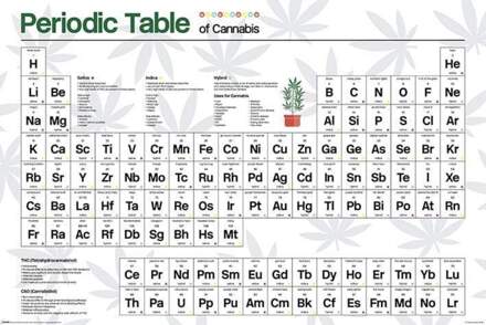 Pyramid Poster Periodic Table Cannabis 61x91,5cm Divers - 61x91.5 cm