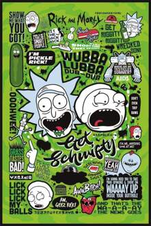 Pyramid Poster Rick and Morty Quotes 61x91,5cm Multikleur
