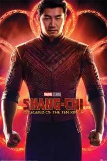 Pyramid Poster Shang-Chi and the Legend of the Ten Rings Flex 61x91,5cm Divers - 61x91.5 cm