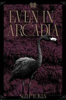 Pyramid Poster Sleep Token - Arcadia 61x91,5cm Divers - 61x91.5 cm