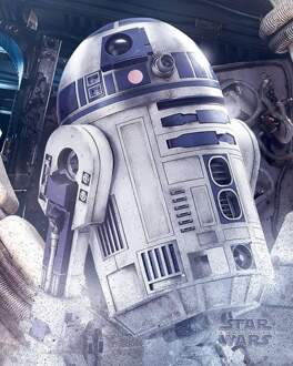 Pyramid Poster Star Wars the Last Jedi R2-D2 Droid 40x50cm Divers - 40x50 cm