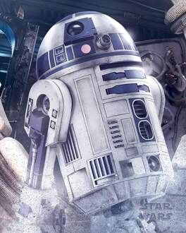 Pyramid Poster Star Wars - the Last Jedi R2-D2 Droid 40x50cm Divers - 40x50 cm