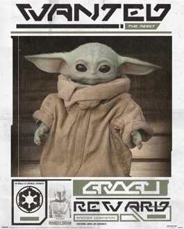 Pyramid Poster Star Wars - The Mandalorian - Grogu Wanted 40x50cm Divers - 40x50 cm
