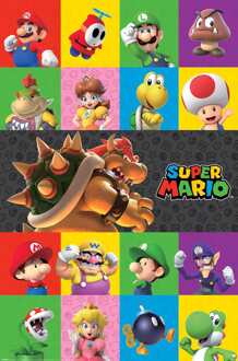 Pyramid Poster Super Mario - Characters 61x91,5cm Divers - 61x91.5 cm