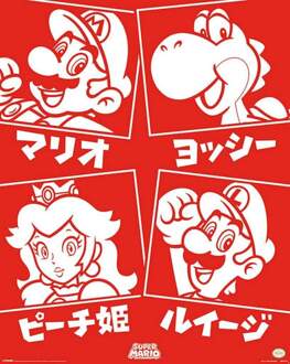Pyramid Poster Super Mario - Japanese Characters 40x50cm Divers - 40x50 cm