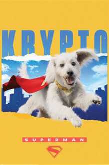Pyramid Poster Superman Krypto 61x91,5cm Divers - 61x91.5 cm