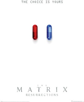 Pyramid Poster The Matrix Resurrections The Choice is Yours 61x91,5cm Divers - 61x91.5 cm