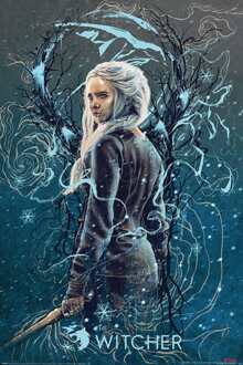 Pyramid Poster The Witcher Ciri the Swallow 61x91,5cm Divers - 61x91.5 cm