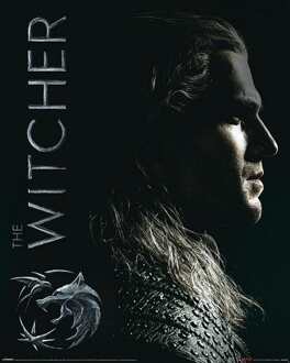 Pyramid Poster The Witcher - Shadows Embrace 40x50cm Divers - 40x50 cm