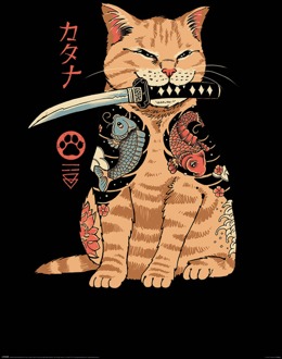 Pyramid Poster Vincent Trinidad - Catana 61x91,5cm Divers - 61x91.5 cm