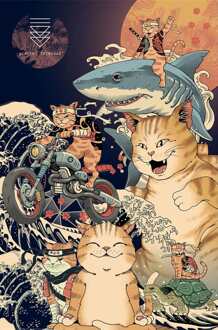 Pyramid Poster Vincent Trinidad - Catana Montage 61x91,5cm Divers - 61x91.5 cm