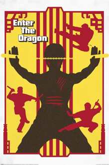 Pyramid Poster Warner Bros Enter the Dragon 61x91,5cm Divers - 61x91.5 cm