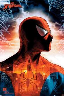 Pyramid Spider Man Protector Of The City Poster 61x91,5cm