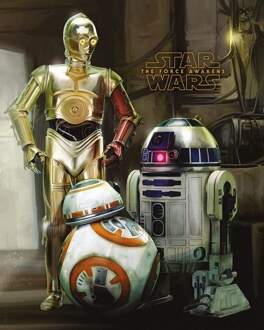 Pyramid Star Wars Episode Vii Droids Poster 40x50cm Multikleur