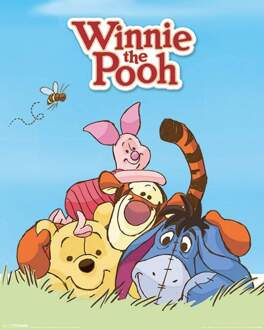 Pyramid Winnie The Pooh Characters Poster 40x50cm