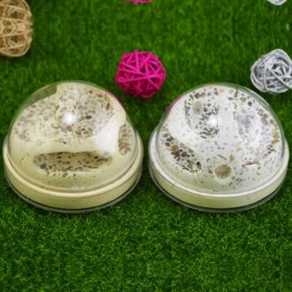 Q versie van de kleine bunker iglo zand gips gemengde nest huisdier mier fokken fokken hydraterende nest wit