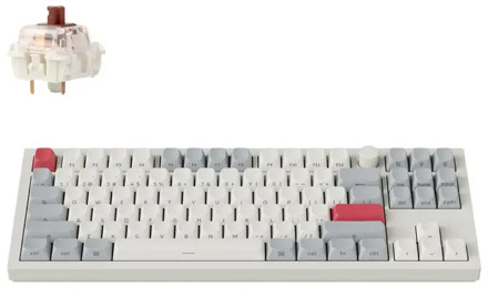 Q3 Max (side printed) wit