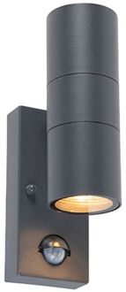 QAZQA Buitenwandlamp antraciet 2-lichts IP44 met bewegingssensor - Grijs