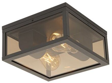 QAZQA Plafondlamp Zwart Met Smoke Glas 2-lichts Ip44 - Charlois