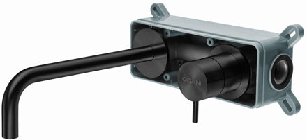 Qisani Inbouwkraan Qisani Flow Standaard Geborsteld Mat Zwart