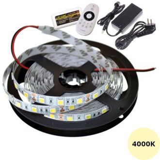 Qualedy Ledstrip 24 Volt 4000K - Koel Wit - 5 meter - IP65 - 60xSMD5050/m