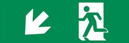 Qualedy Noodverlichting richting Pijl Links Omlaag 300x100mm - Sticker