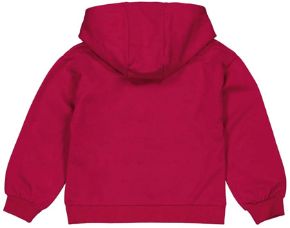 Quapi meisjes hoodie Rose - 110-116
