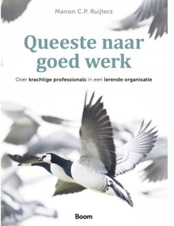 Queeste Naar Goed Werk - Manon C.P. Ruijters