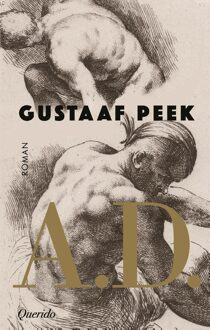 Querido A.D. - Gustaaf Peek - ebook