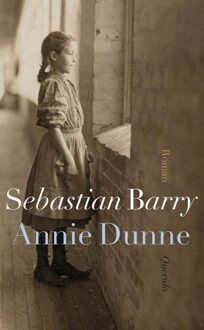 Querido Annie Dunne - eBook Sebastian Barry (9021439131)