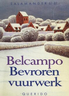 Querido Bevroren vuurwerk - eBook Singel Uitgeverijen (9021448033)