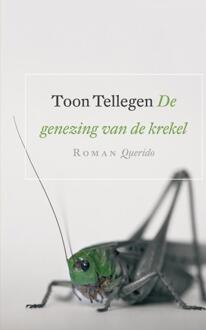 Querido De genezing van de krekel - eBook Toon Tellegen (9021436272)