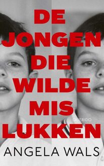 Querido De jongen die wilde mislukken