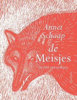 Querido De meisjes - Annet Schaap - ebook