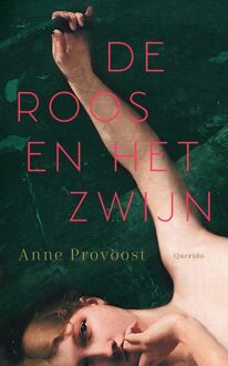 Querido De Roos en het Zwijn - Anne Provoost - ebook