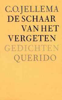 Querido De schaar van het vergeten - eBook C.O. Jellema (9021449021)