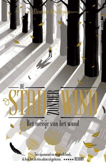 Querido De stad zonder wind - Eléonore Devillepoix - ebook