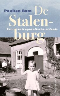 Querido De Stalenburg - Paulien Bom - ebook