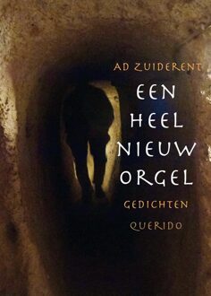 Querido Een heel nieuw orgel - eBook Ad Zuiderent (9021400782)