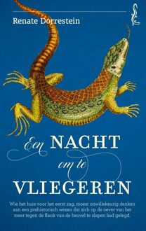 Querido Een nacht om te vliegeren