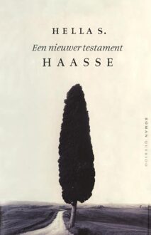 Querido Een nieuwer testament - eBook Hella S. Haasse (9021444445)