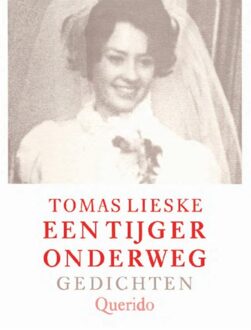 Querido Een tijger onderweg - eBook Tomas Lieske (9021449161)