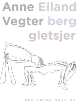 Querido Eiland berg gletsjer - eBook Anne Vegter (9021450801)