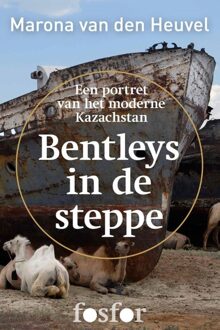 Querido Fosfor Bentleys in de steppe - eBook Marona van den Heuvel (9462250561)