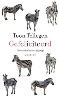 Querido Gefeliciteerd - eBook Toon Tellegen (9021446073)
