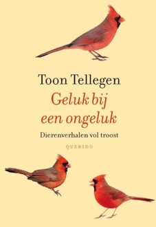 Querido Geluk bij een ongeluk - eBook Toon Tellegen (9021455250)