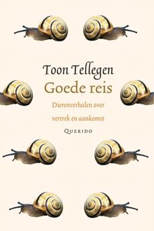 Querido Goede reis - eBook Toon Tellegen (9021446367)